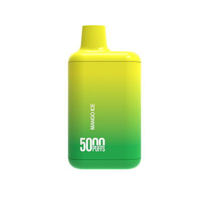 Vape pen ricaricabile monouso Nuovo Vape Ecig popolare con bobine a maglia